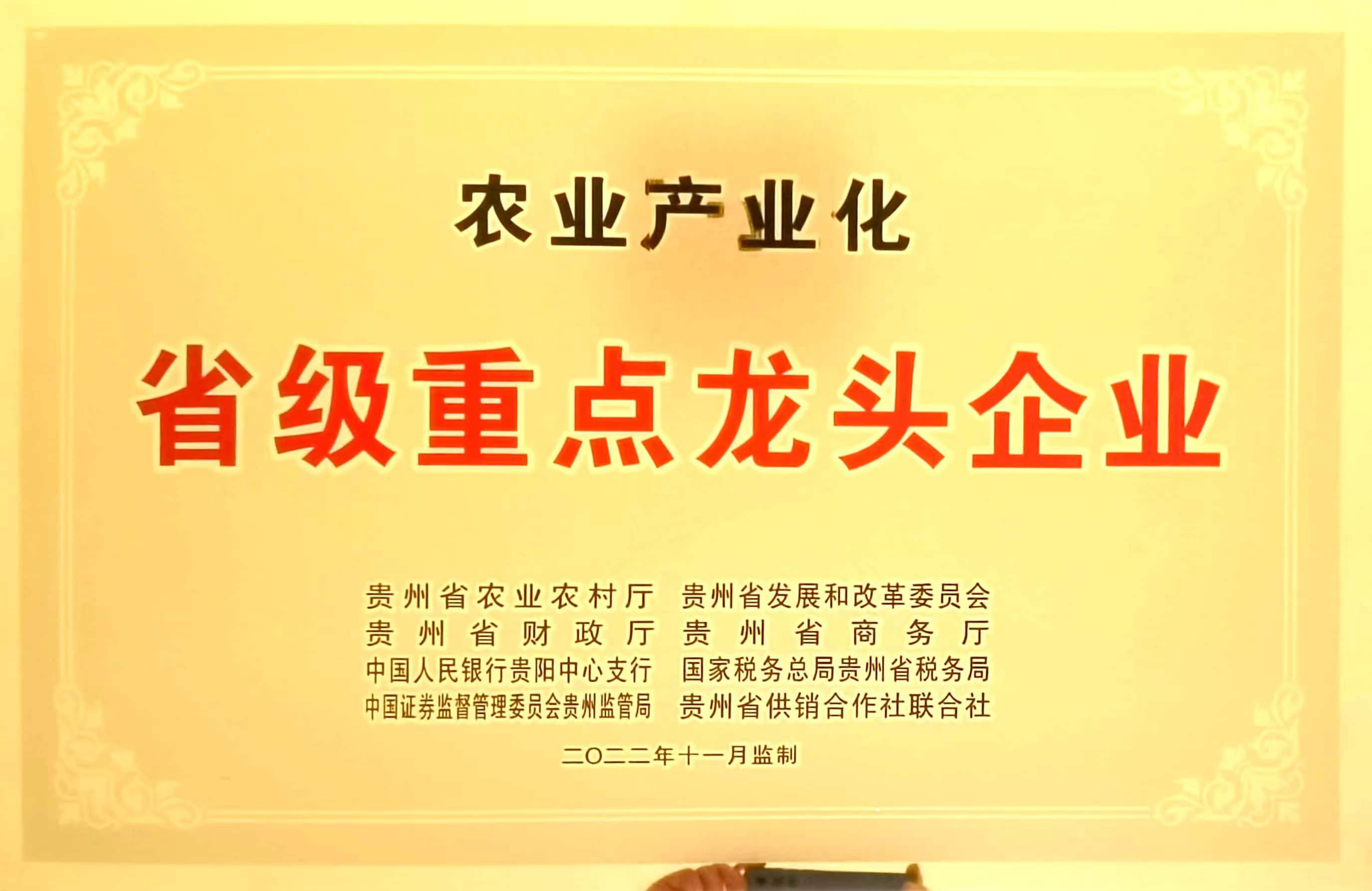 省級龍頭企業(yè)